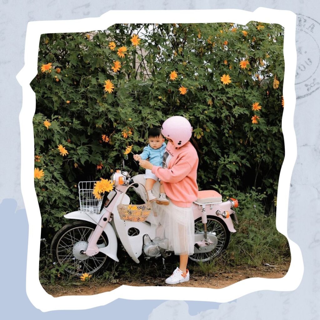 Đà Lạt mùa hoa dã quỳ